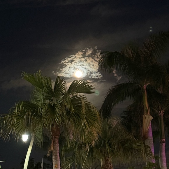 Meet your Posher, MJ - Picture 10 of 13